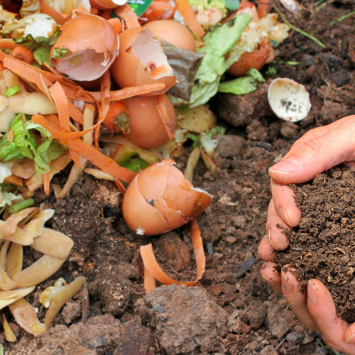 tuin vergroenen composteren