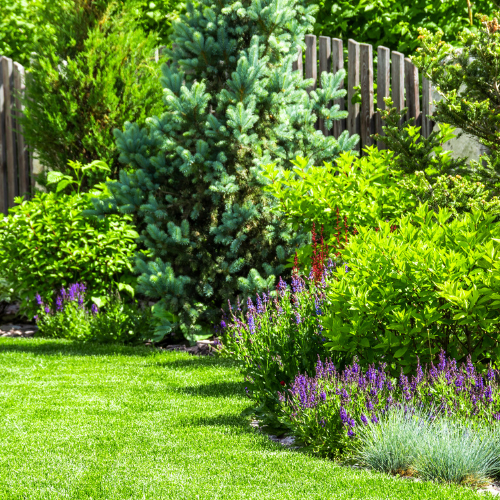 tuin vergroenen tips