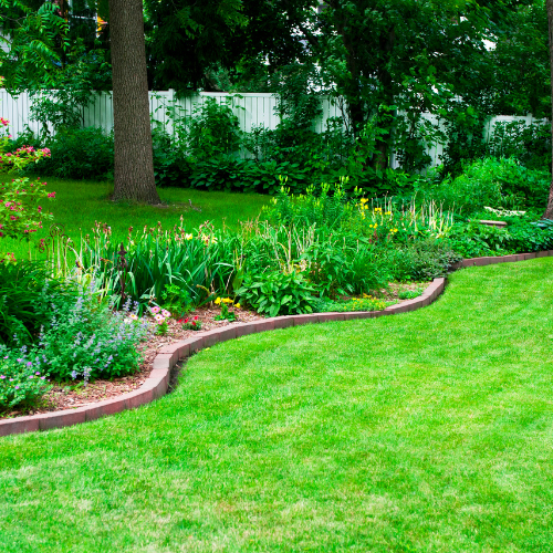 tuin vergroenen tips