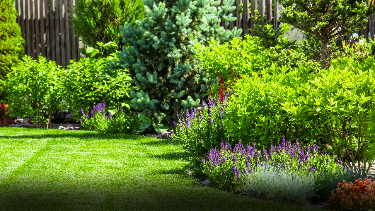 tuin vergroenen tips