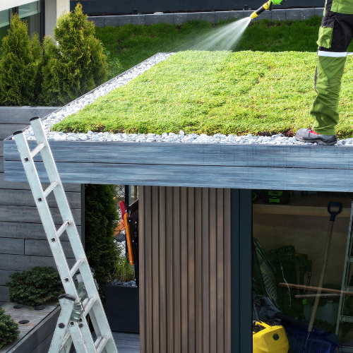 sedumdak tuin vergroenen