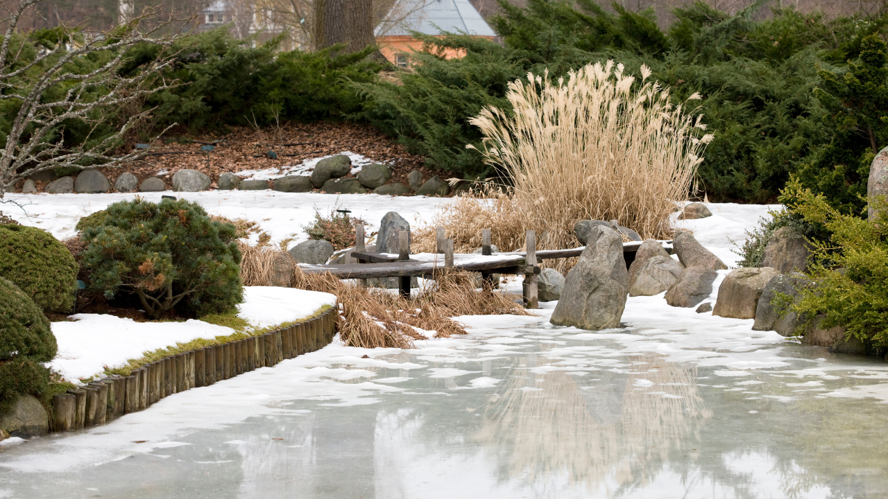 vijver onderhouden winter