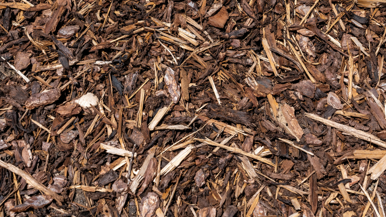 Grove houtsnippers voor tuinbedekking of mulch