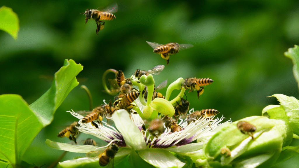 Grote groep bijen op een exotische bloem in een groene tuin
